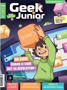 Geek Junior