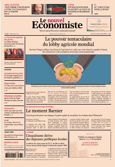 Jaquette Le nouvel Economiste