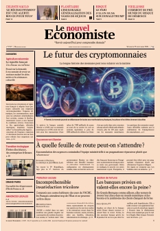 Jaquette Le nouvel Economiste