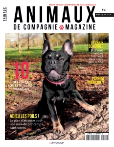 Animaux de compagnie Magazine -  - Parnasse Edition