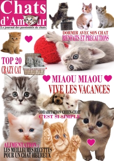 Chats D'Amour